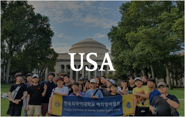 usa